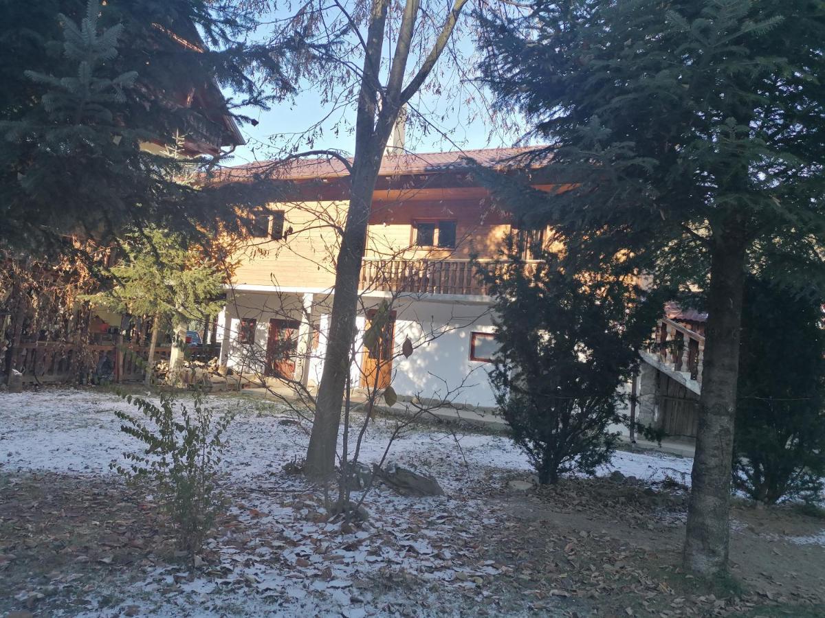 Pensiunea Perla Maramuresului Borşa Exterior foto