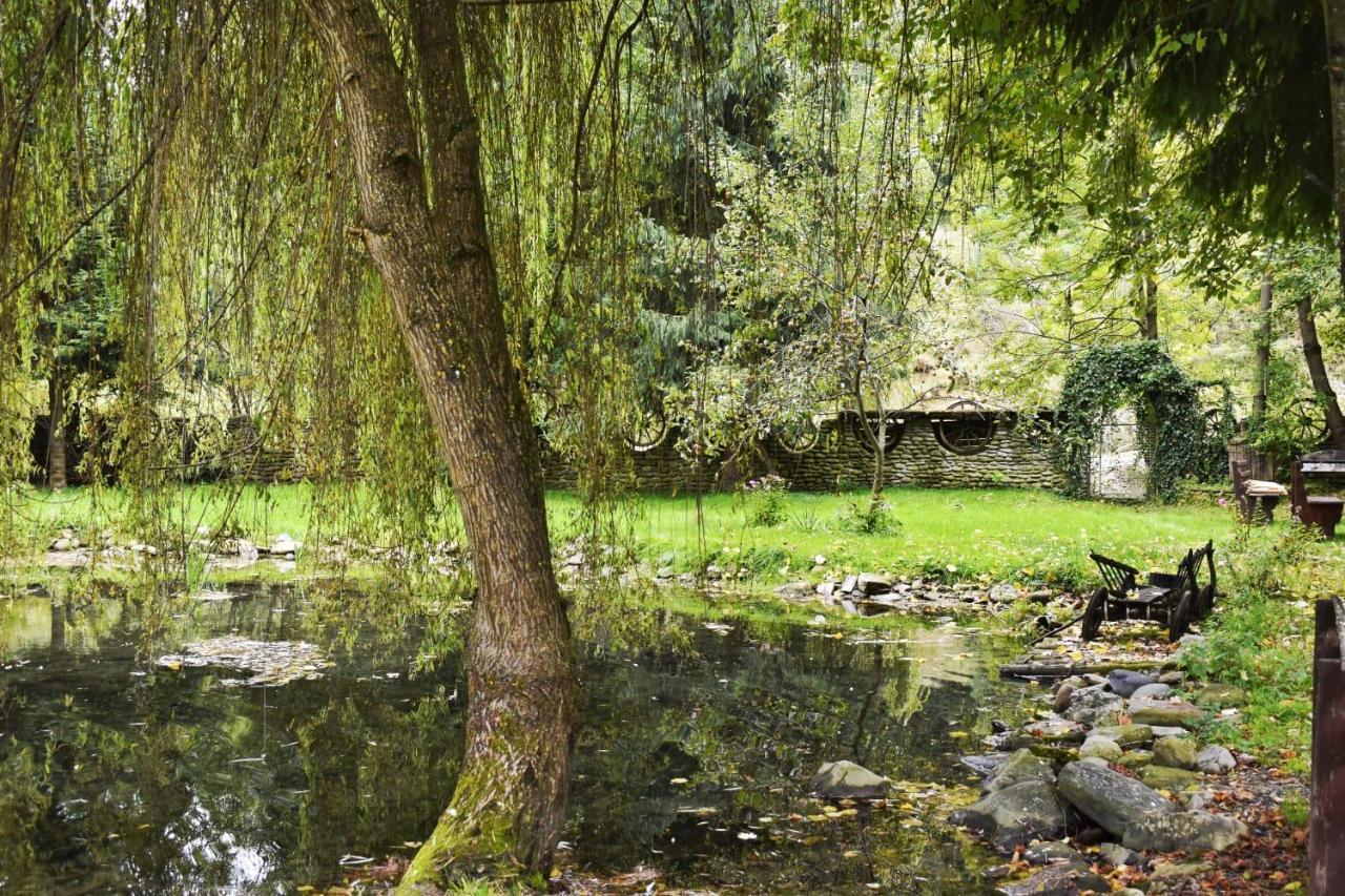 Pensiunea Perla Maramuresului Borşa Exterior foto